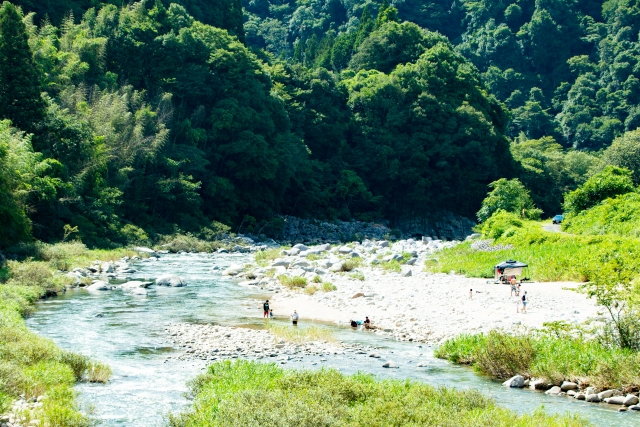 夏場の釣り